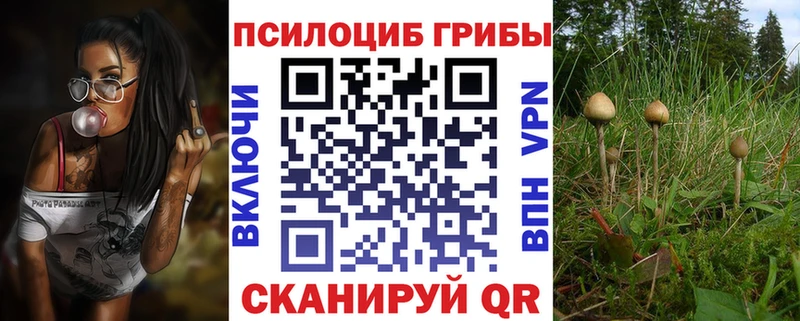 Псилоцибиновые грибы MAGIC MUSHROOMS даркнет формула Спасск-Рязанский